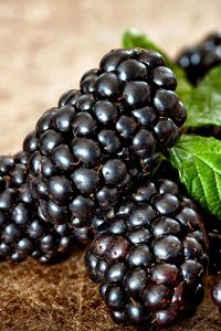 Ежевика — вкусная и полезная