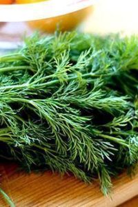 Заготовка мяты впрок: 4 замечательные рецепта