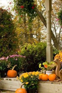 Как украсить осенний сад