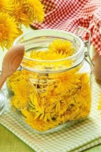 Мед из одуванчиков солнечное лакомство