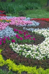 Виды цветников