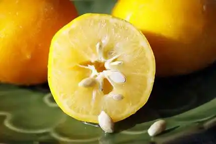 Лимоны можно выращивать из семян, но ждать плодов придется долго